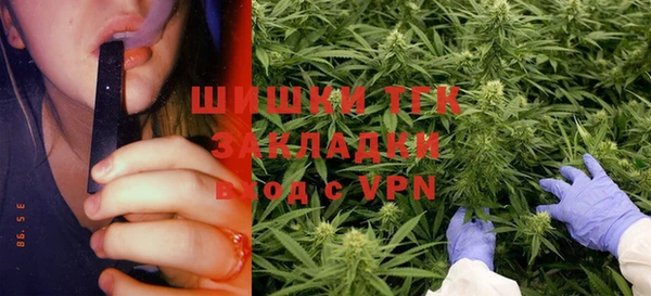 ГАЛЛЮЦИНОГЕННЫЕ ГРИБЫ Балабаново