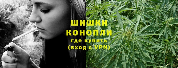 ГАЛЛЮЦИНОГЕННЫЕ ГРИБЫ Балабаново