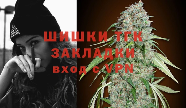 ГАЛЛЮЦИНОГЕННЫЕ ГРИБЫ Балабаново